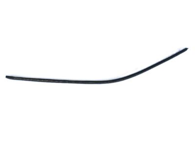 2010 Dodge Challenger Door Seal - 4575902AB