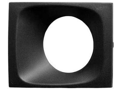 Mopar 68157871AA Center Bezel, Front