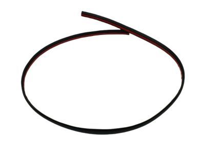 Dodge WU04RXFAC MOLDING Roof