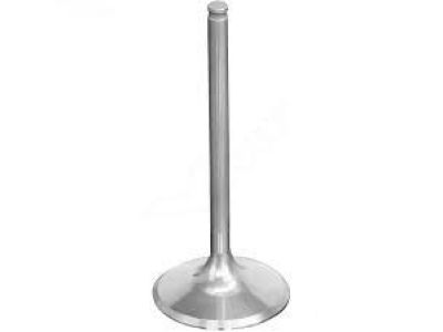 Ram 68147269AA VALVE Exhaust Standard
