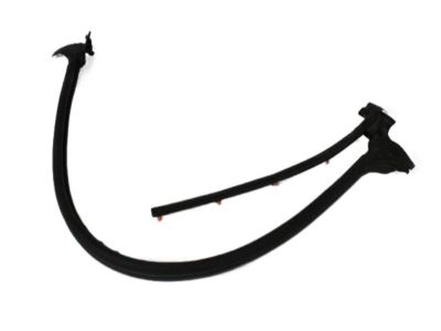 Dodge Weather Strip - 55359396AF