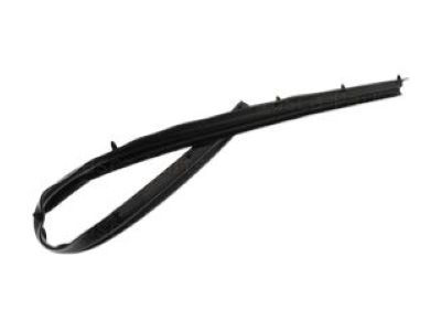 Ram ProMaster 3500 Weather Strip - 68109574AB