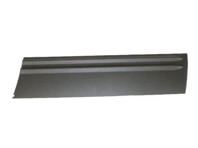 Jeep 5015770AB CLADDING Front Door