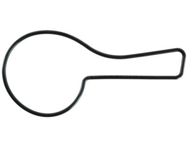 Chrysler 4387459 GASKET, Water Pump Body