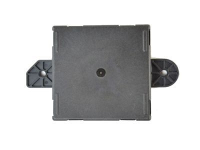 Ram 68233219AC MODULE Door