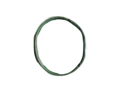 Jeep 68359029AA Throttle Body Gasket