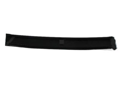 Dodge 4717770AE MOLDING Door Window Opening B Pillar