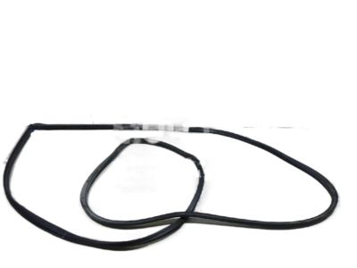Dodge Caravan Door Seal - 4717329