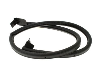 Jeep 55395272AL WEATHERSEAL DOOR TO BODY Front half door