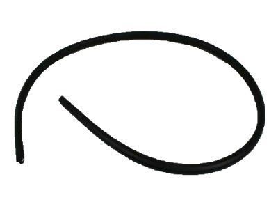 Ram C/V Weather Strip - 4894635AC
