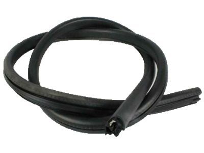 Ram 4894635AC WEATHERSTRIP Rear Aperture Panel Glass