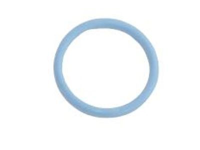Jeep 53021239AA O RING Chain Case Cover