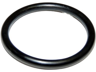 Jeep 53021239AA O RING Chain Case Cover