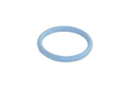 Jeep 53021239AA O RING Chain Case Cover