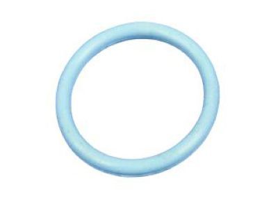 Jeep 53021239AA O RING Chain Case Cover