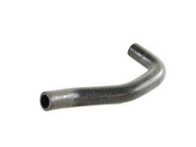 Ram 52029560AB HOSE Filter to Canister