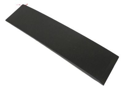 Ram 5020668AA APPLIQUE Sliding Door Outside C-Pillar