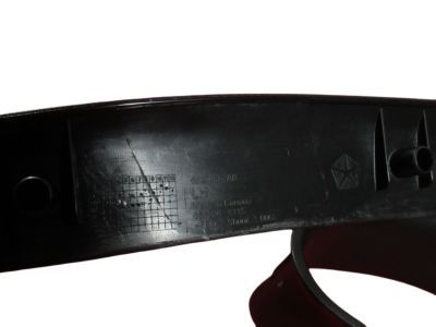 Ram 68274703AA BEZEL KIT Tow Hook