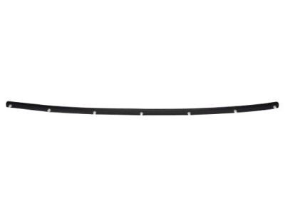 Dodge 68040220AC Weatherstrip