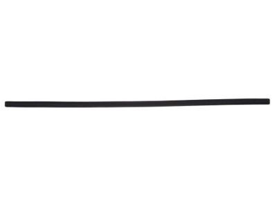 Dodge 68040220AC Weatherstrip