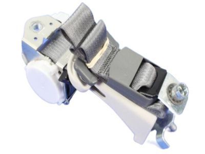Mopar ZV731D5AB Outer Belt, Rear Driver Side
