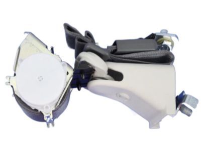 Mopar ZV731D5AB Outer Belt, Rear Driver Side