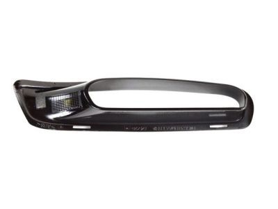 Dodge 1WC63DX8AA BEZEL Air Inlet