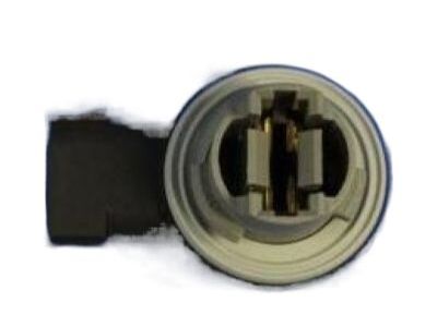 Mopar 68226719AA Marker Lamp Bulb Socket, Rear