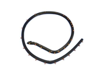 Dodge 68110772AC WEATHERSTRIP Liftgate Opening