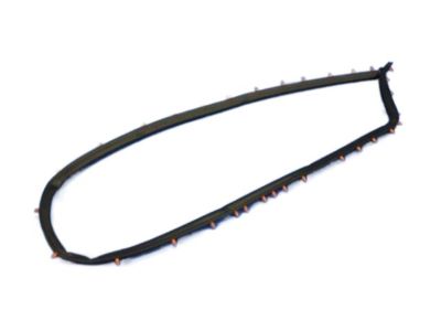 Dodge 68110772AC WEATHERSTRIP Liftgate Opening