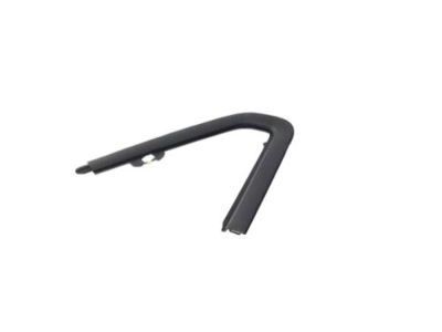 Ram 68290780AD MOLDING Day Light Opening Front Door