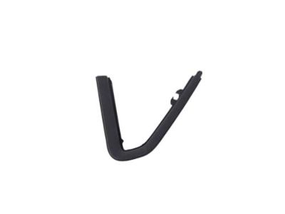 Ram 68290780AD MOLDING Day Light Opening Front Door