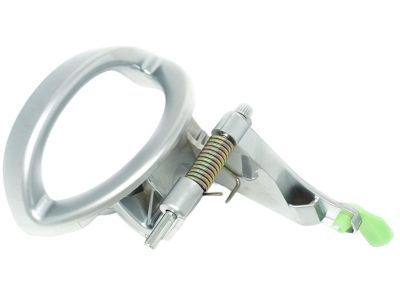 Dodge 68004829AA HANDLE Inside Remote Control