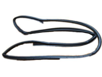 Jeep 55395274AW WEATHERSEAL DOOR TO BODY FRONT full DOOR