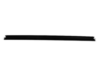 Dodge 55277028AE SEAL Rear Door