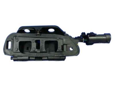 Dodge 5029144AB HANDLE Front Door Exterior