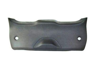 Mopar 1XW83DX9AK Panel Liftgate Trim