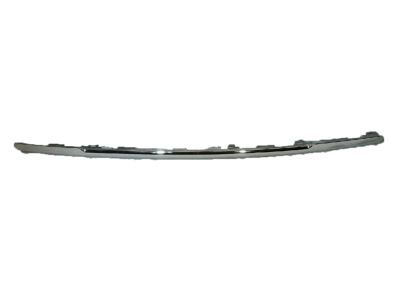 Mopar 6DE31SZ0AB Applique, Silver, Rear