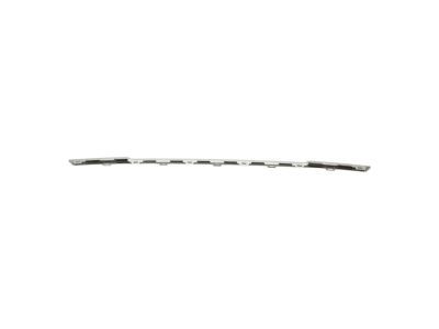 Mopar 6DE31SZ0AB Applique, Silver, Rear