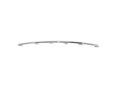 Mopar 6DE31SZ0AB Applique, Silver, Rear