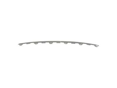 Mopar 6DE31SZ0AB Applique, Silver, Rear