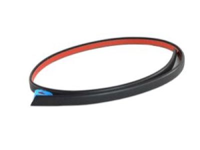 Dodge 68302138AA SEAL Liftgate