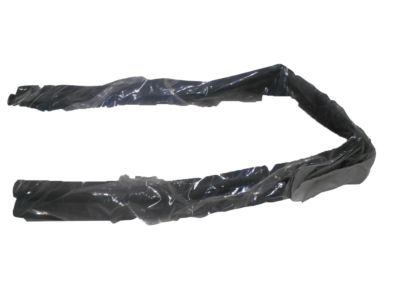 Chrysler 55364332AB SEAL Front Door