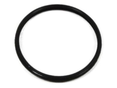 Ram 5086740AA SEAL Thermostat