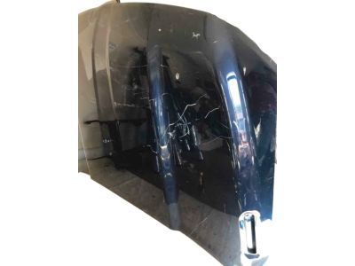 Ram 68276294AA HOOD