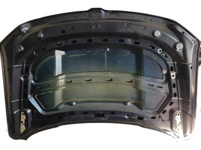 Ram 68276294AA HOOD
