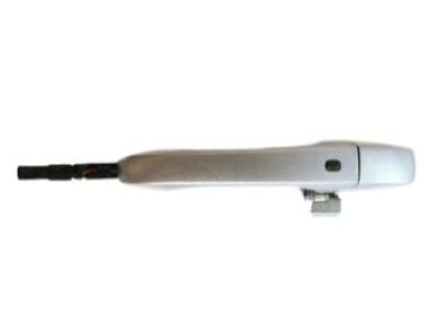 Dodge 1QA18JSCAJ HANDLE Exterior Door
