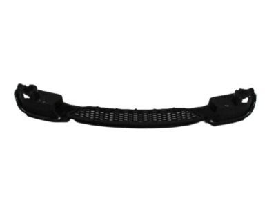 Ram 68100690AA GRILLE Lower