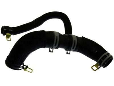 Dodge Radiator Hose - 5181877AG