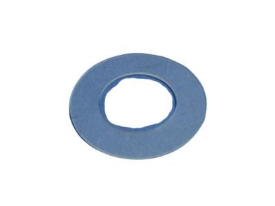Dodge 55276589AA SPACER Tailgate